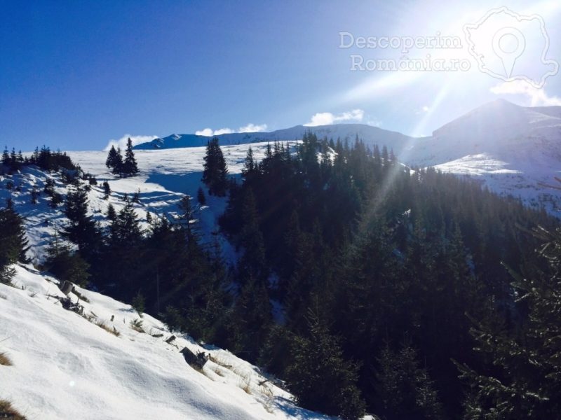 Maramuresul-in-spectacolul-iernii-20-800x600 Pârtiile de schi din Maramureș