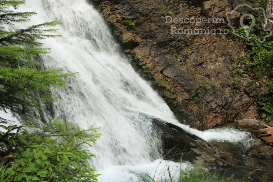 Cascada-Vălul-Miresei-voalul-munților-Vlădeasa-10-900x600 Cascada Vălul Miresei - voalul munților Vlădeasa (10)