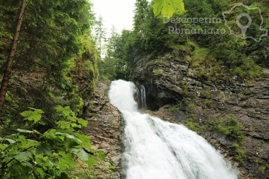 Cascada-Vălul-Miresei-voalul-munților-Vlădeasa-11-900x600 Cascada Vălul Miresei - voalul munților Vlădeasa (11)