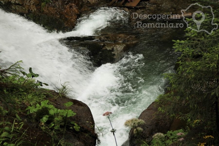 Cascada-Vălul-Miresei-voalul-munților-Vlădeasa-13-900x600 Cascada Vălul Miresei - voalul munților Vlădeasa (13)