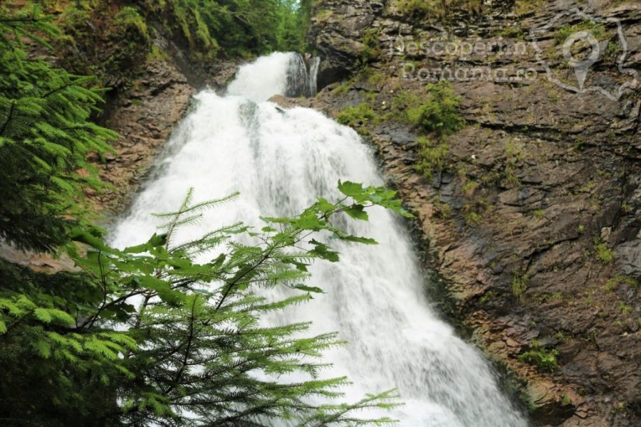 Cascada-Vălul-Miresei-voalul-munților-Vlădeasa-8-900x600 Cascada Vălul Miresei - voalul munților Vlădeasa (8)