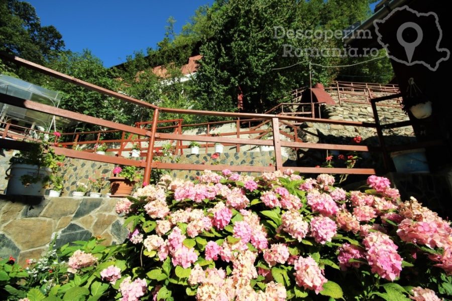 Cazare-la-Casa-Rădoi-din-Băile-Herculane-Caras-Severin-Valea-Cernei12-900x600 Cazare la Casa Rădoi din Băile Herculane - Caras-Severin - Valea Cernei(12)