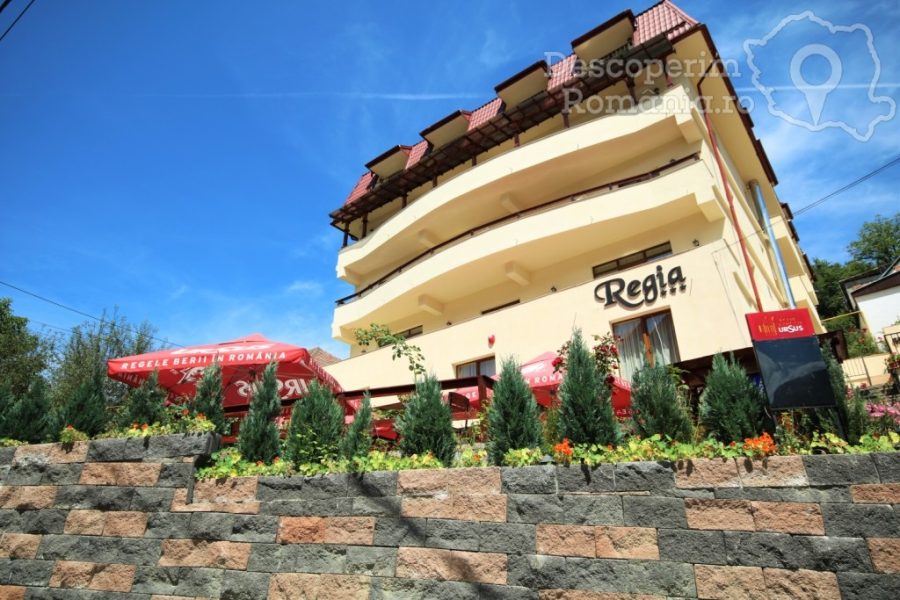 Cazare-la-Hotel-Regia-din-Baile-Olanesti-Valcea-Oltenia-1-900x600 Hotel Regia din Băile Olănești