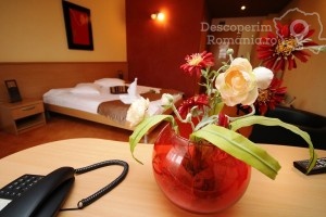 Cazare-la-Hotel-Vandia-din-Timisoara-Timis-Banat-DescoperimRomania.ro-107-300x200 cazare-la-hotel-vandia-din-timisoara-timis-banat-descoperimromania-ro-107