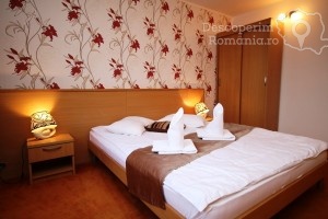 Cazare-la-Hotel-Vandia-din-Timisoara-Timis-Banat-DescoperimRomania.ro-11-300x200 cazare-la-hotel-vandia-din-timisoara-timis-banat-descoperimromania-ro-11