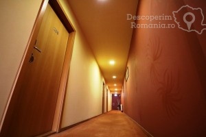 Cazare-la-Hotel-Vandia-din-Timisoara-Timis-Banat-DescoperimRomania.ro-112-300x200 cazare-la-hotel-vandia-din-timisoara-timis-banat-descoperimromania-ro-112
