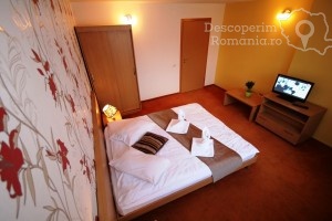 Cazare-la-Hotel-Vandia-din-Timisoara-Timis-Banat-DescoperimRomania.ro-12-300x200 cazare-la-hotel-vandia-din-timisoara-timis-banat-descoperimromania-ro-12