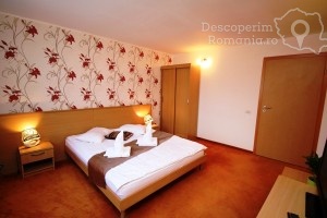 Cazare-la-Hotel-Vandia-din-Timisoara-Timis-Banat-DescoperimRomania.ro-14-300x200 cazare-la-hotel-vandia-din-timisoara-timis-banat-descoperimromania-ro-14