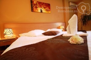 Cazare-la-Hotel-Vandia-din-Timisoara-Timis-Banat-DescoperimRomania.ro-49-300x200 cazare-la-hotel-vandia-din-timisoara-timis-banat-descoperimromania-ro-49