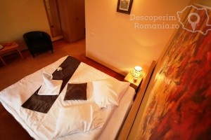 Cazare-la-Hotel-Vandia-din-Timisoara-Timis-Banat-DescoperimRomania.ro-51-300x200 cazare-la-hotel-vandia-din-timisoara-timis-banat-descoperimromania-ro-51