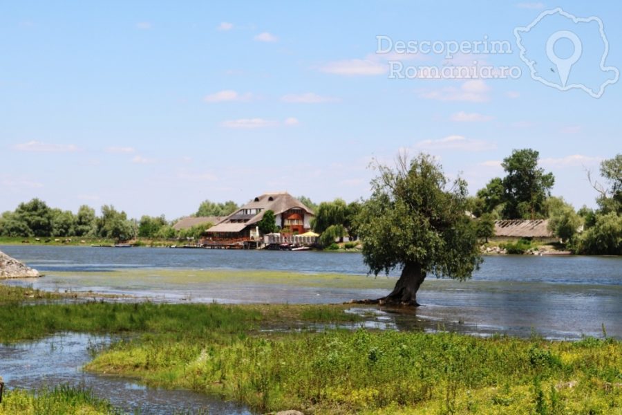 Cazare-la-Pensiunea-Paradis-Delta-House-Mila-23-Tulcea-Delta-Dunarii-DescoperimRomania-5-900x600 Cazare la Pensiunea Paradis Delta House - Mila 23 - Tulcea - Delta Dunarii - DescoperimRomania (5)